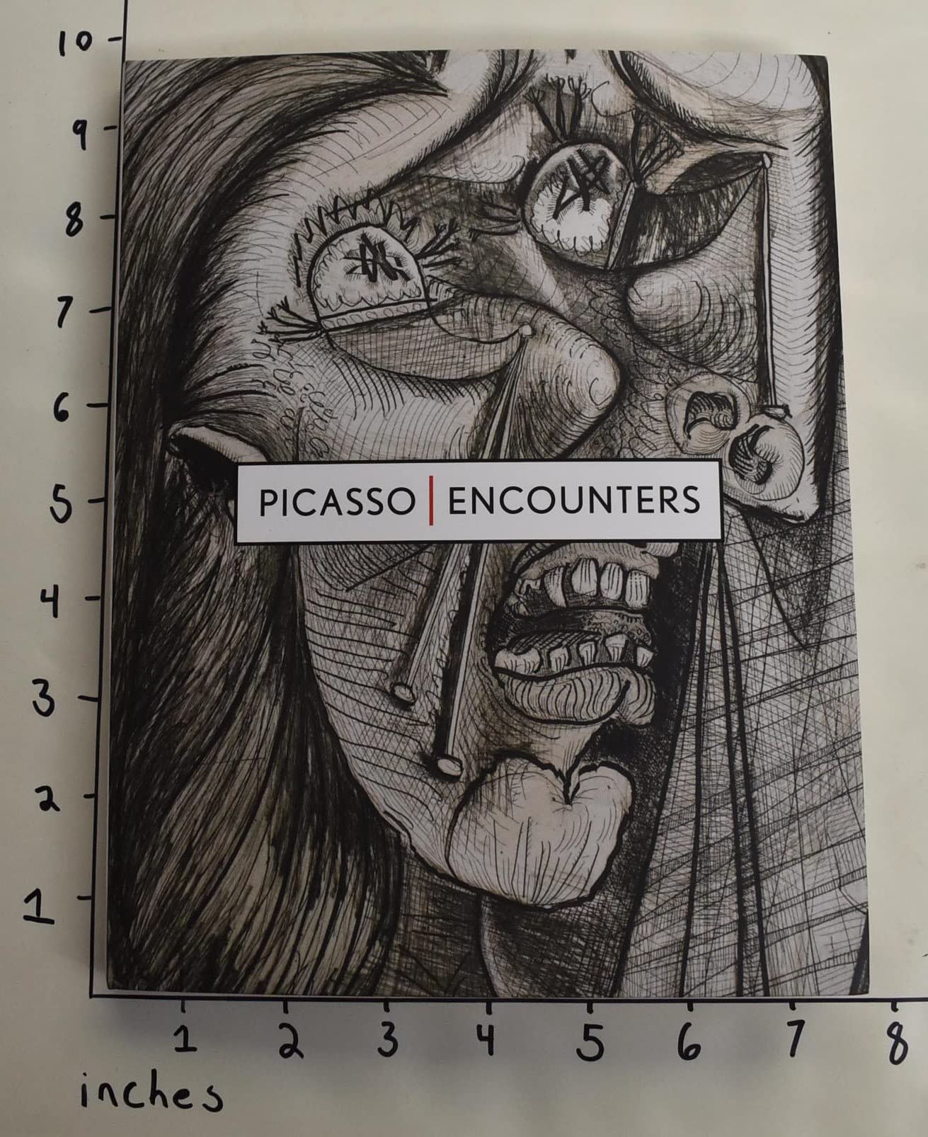 Picasso Encounters: Printmaking and Collaboration book cover