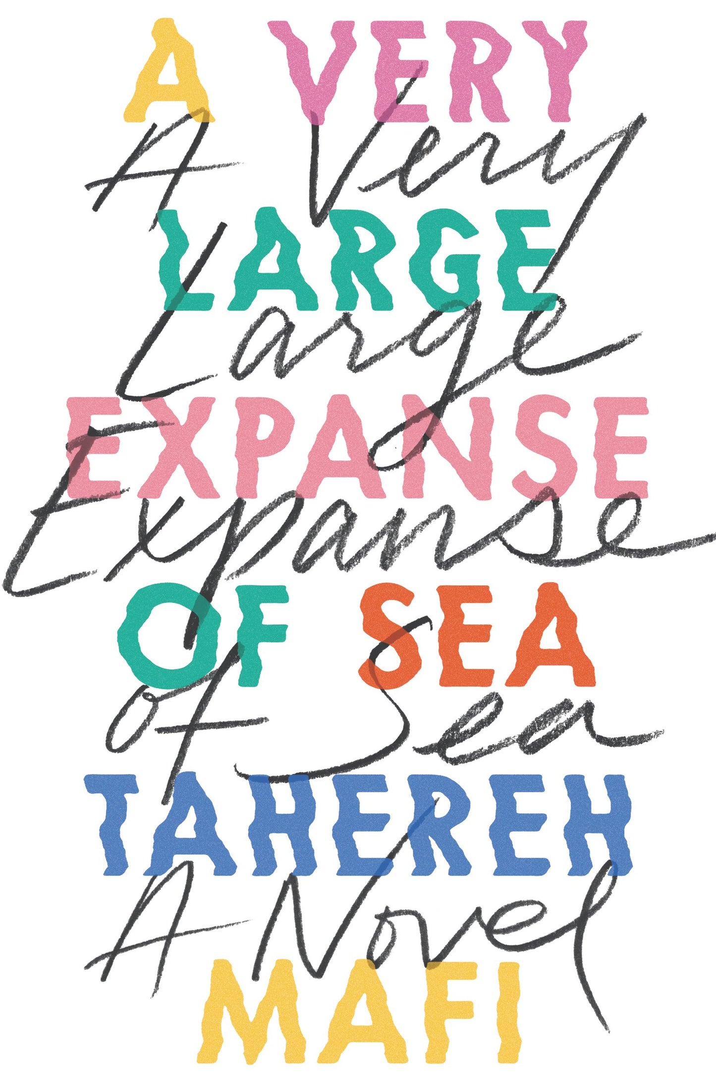 Very Large Expanse of Sea book cover