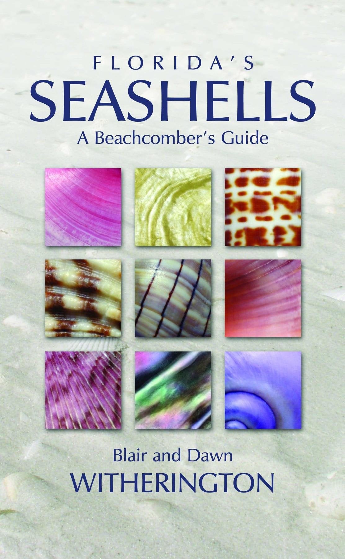 Florida's Seashells: A Beachcomber's Guide book cover