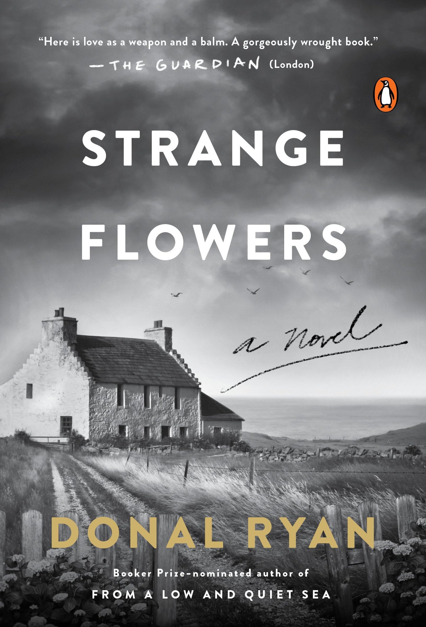 Strange Flowers book cover