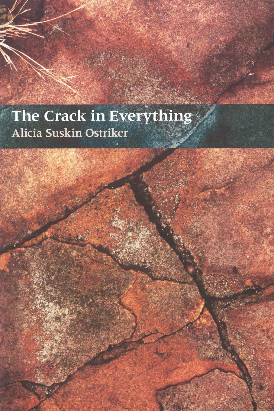 Crack In Everything book cover