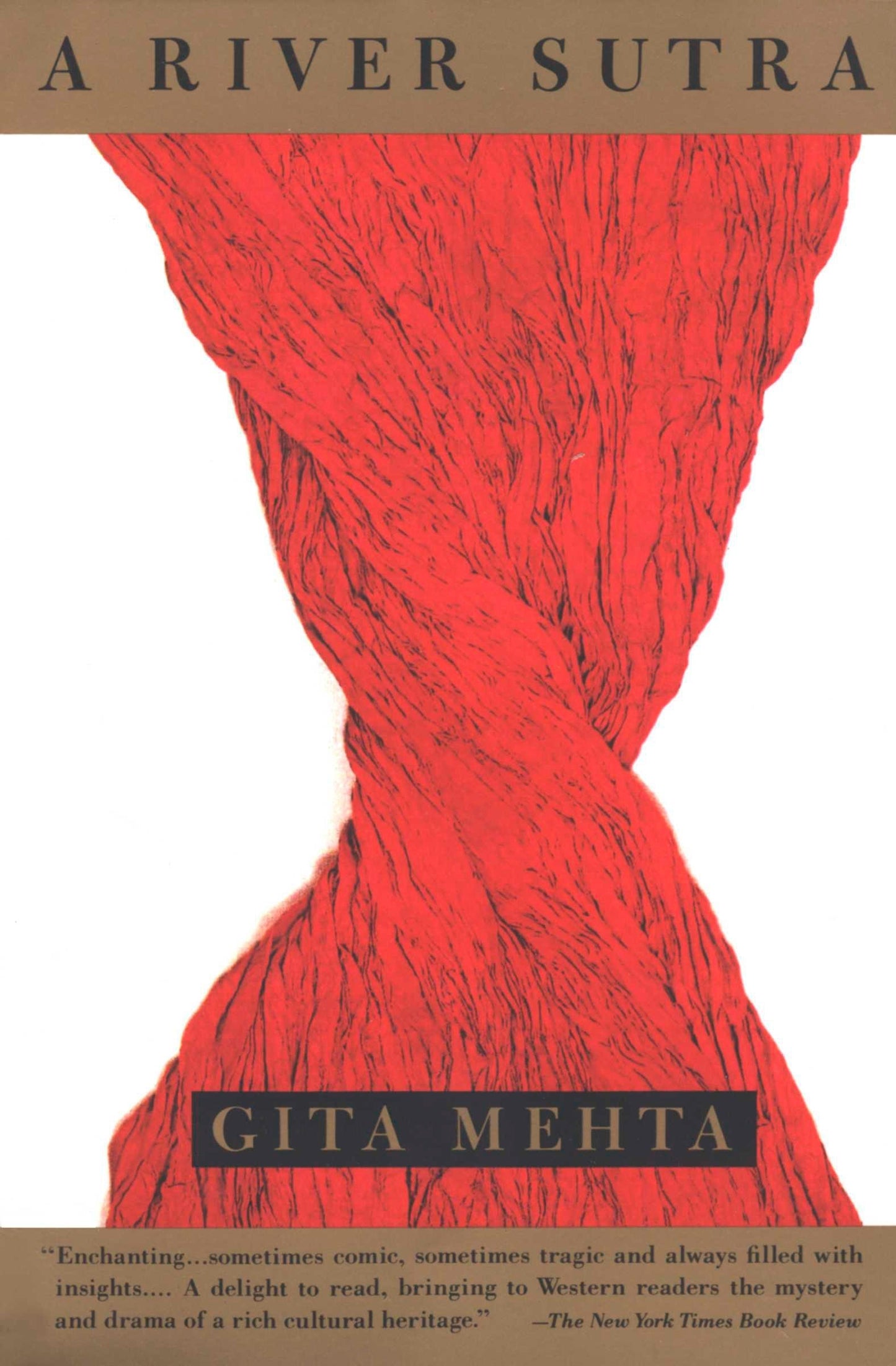 River Sutra book cover