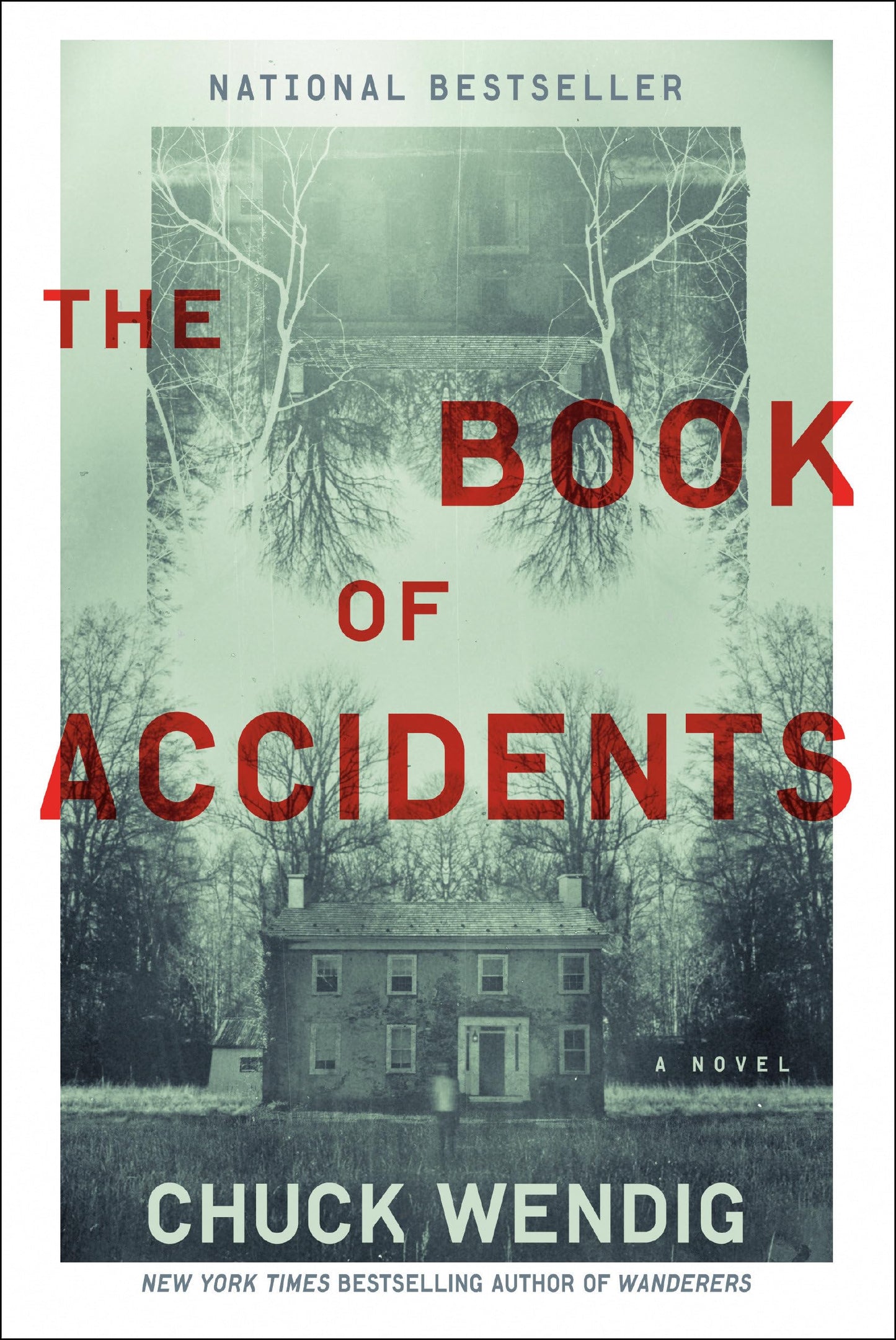 Book of Accidents book cover