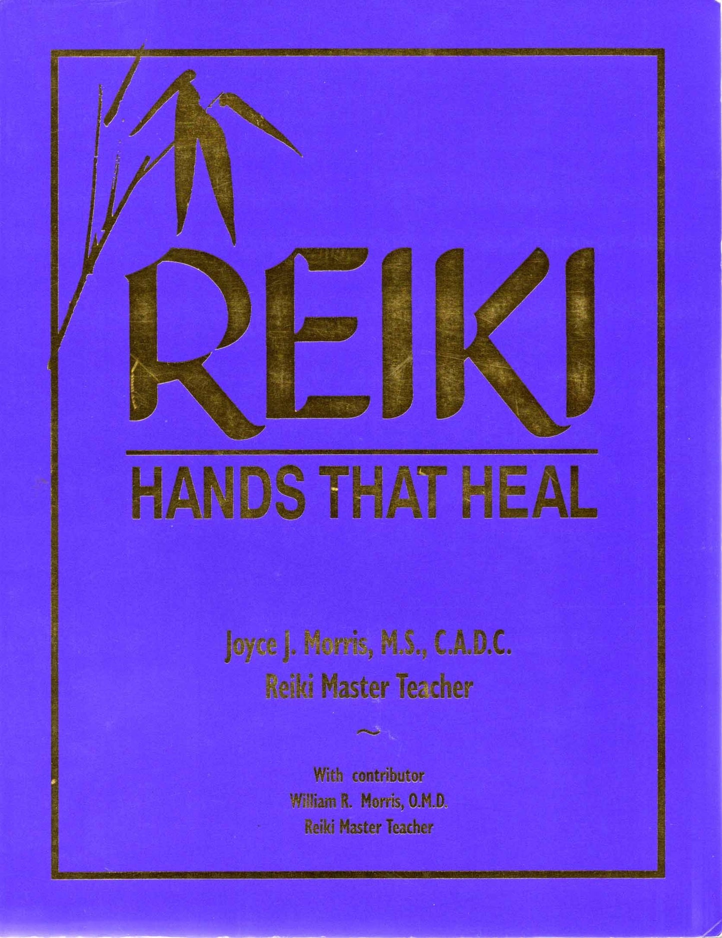 Reiki: Hands That Heal book cover