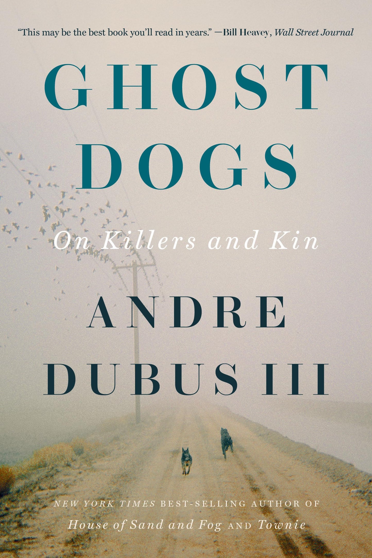 Ghost Dogs: On Killers and Kin book cover