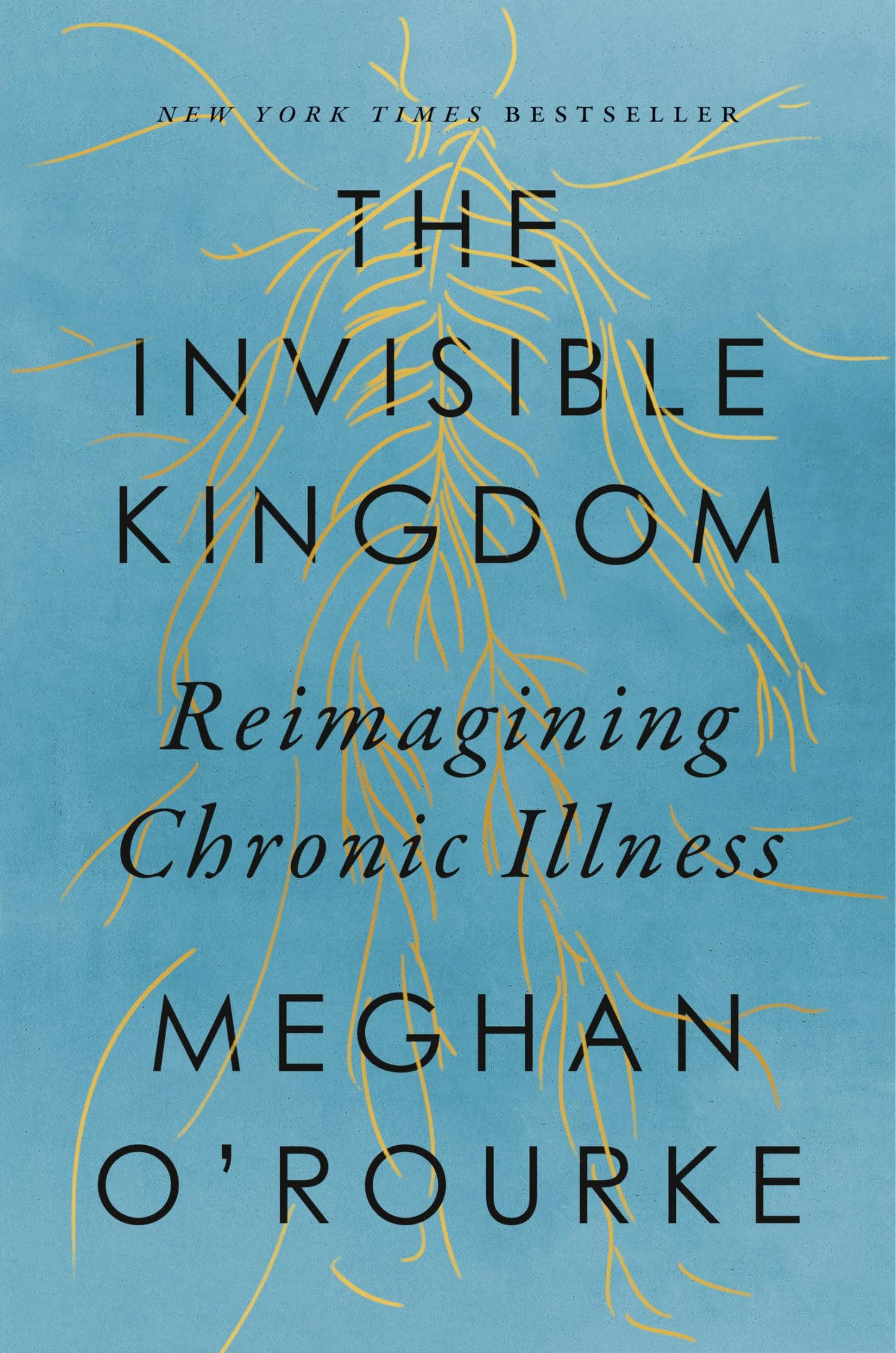 Invisible Kingdom: Reimagining Chronic Illness book cover