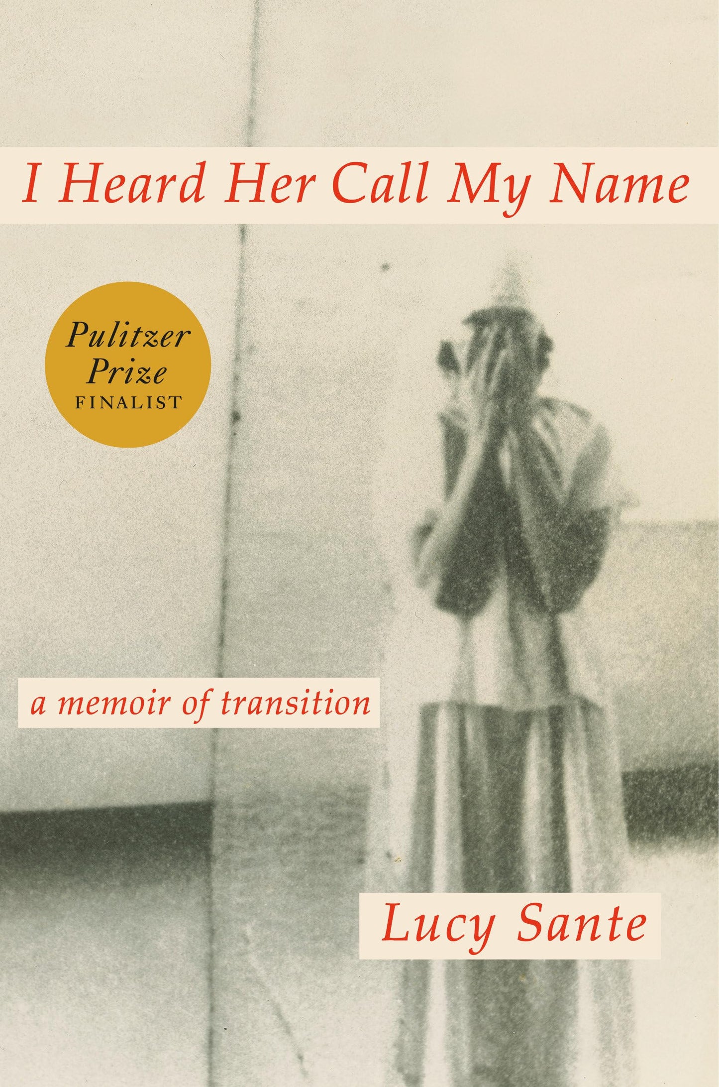 I Heard Her Call My Name book cover