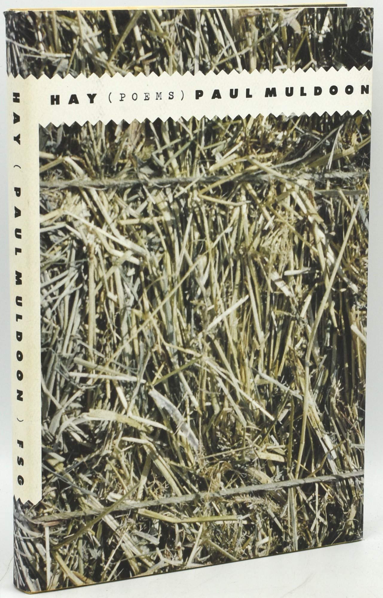 Hay: Poems book cover
