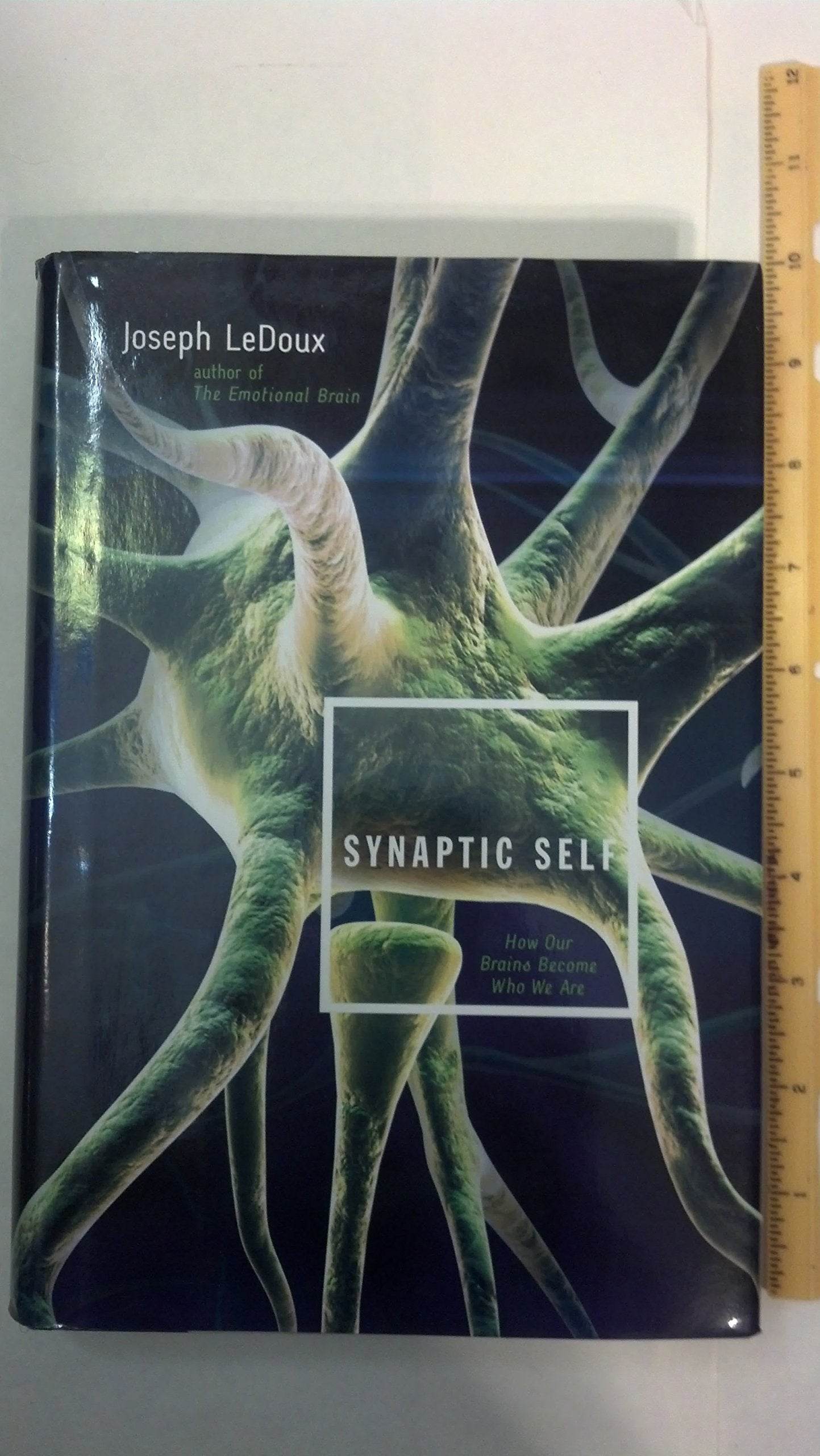 Synaptic Self: How Our Brains Become Who We Are book cover