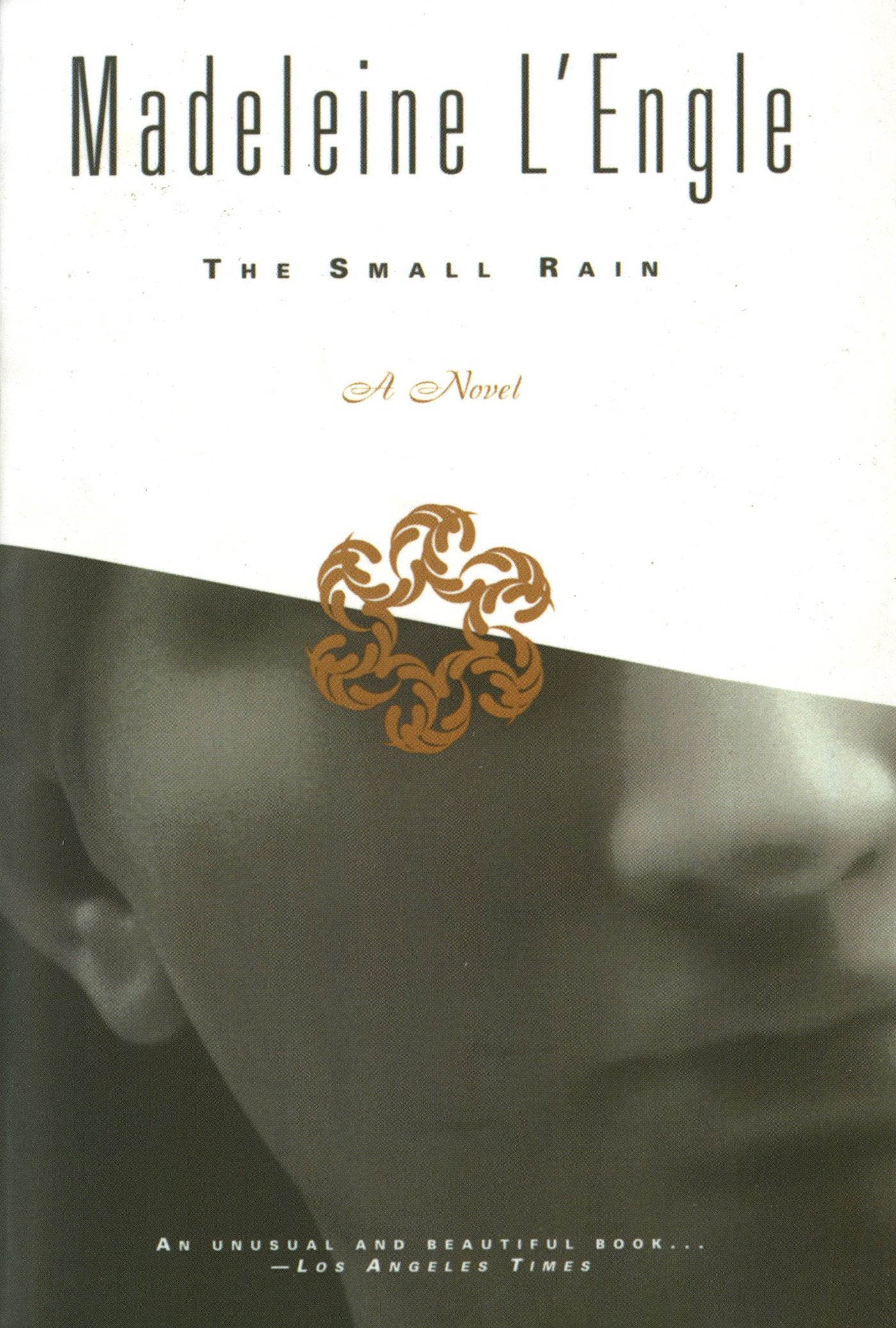 Small Rain book cover