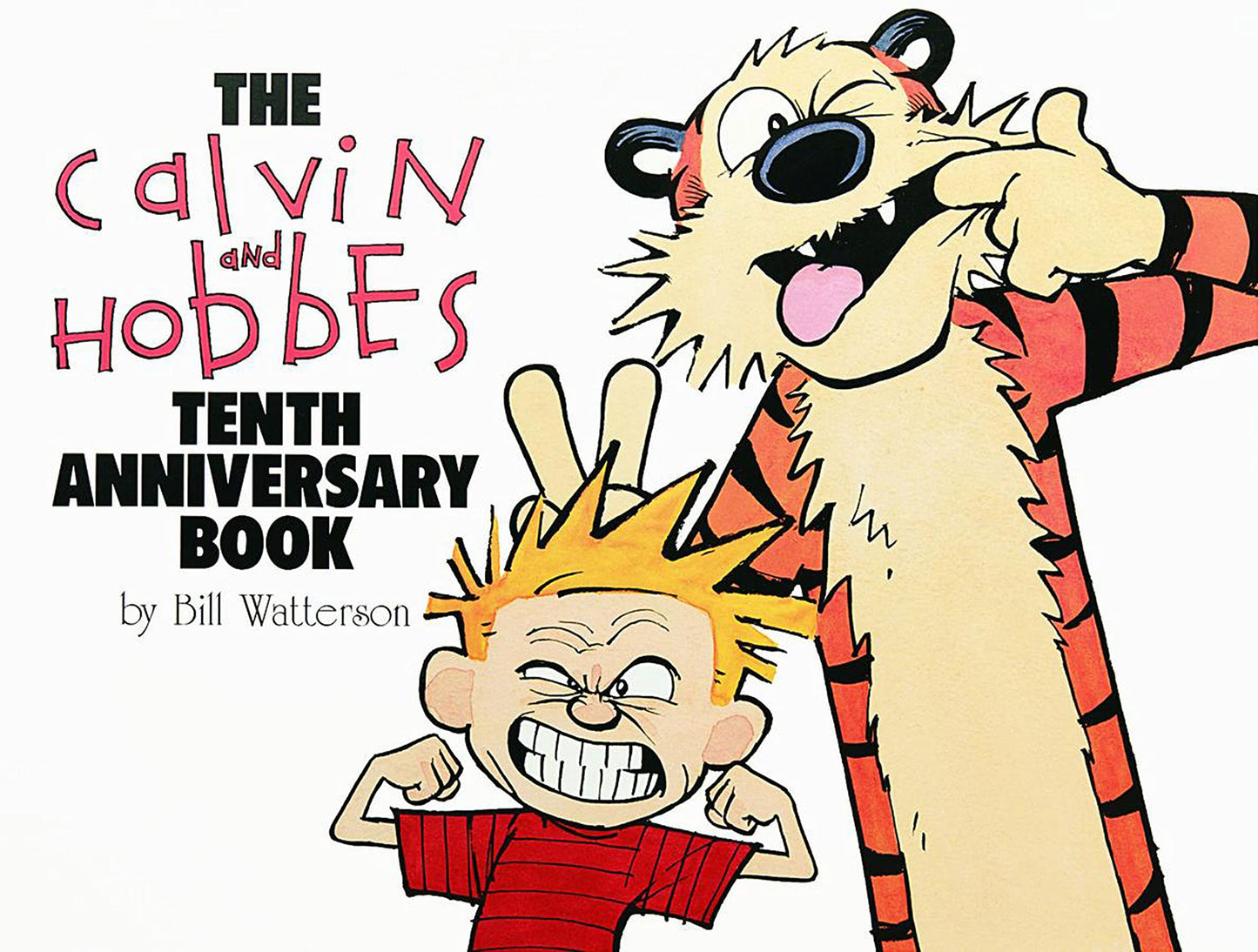 Calvin and Hobbes Tenth Anniversary Book, 14 (Anniversary) book cover
