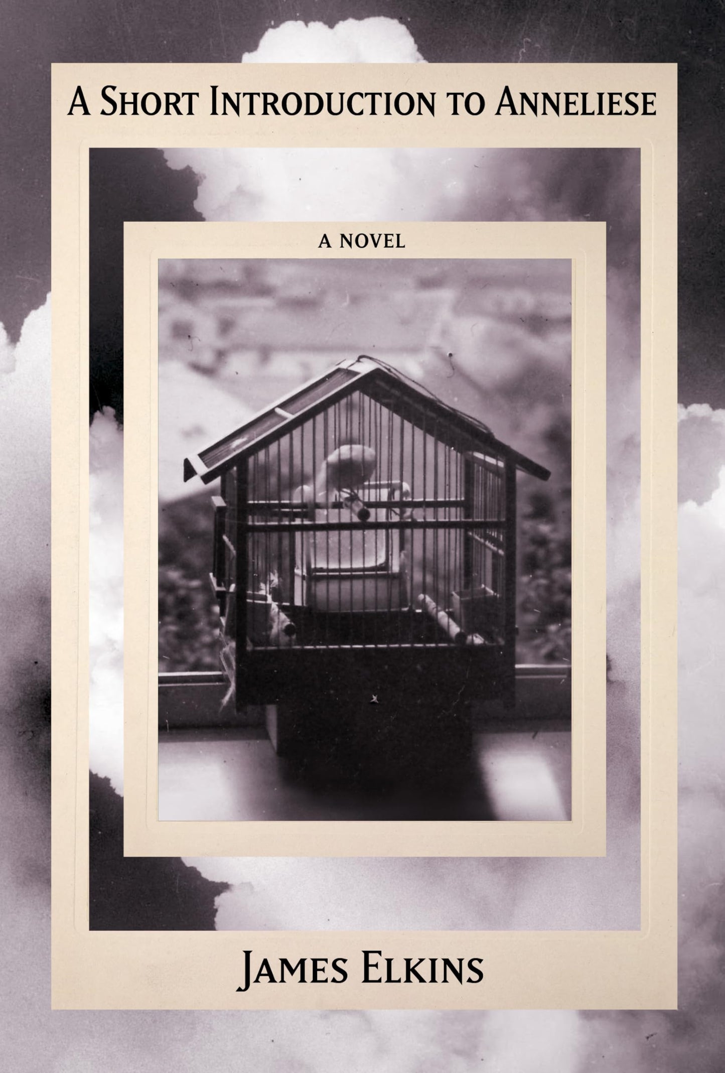 A Short Introduction to Anneliese book cover