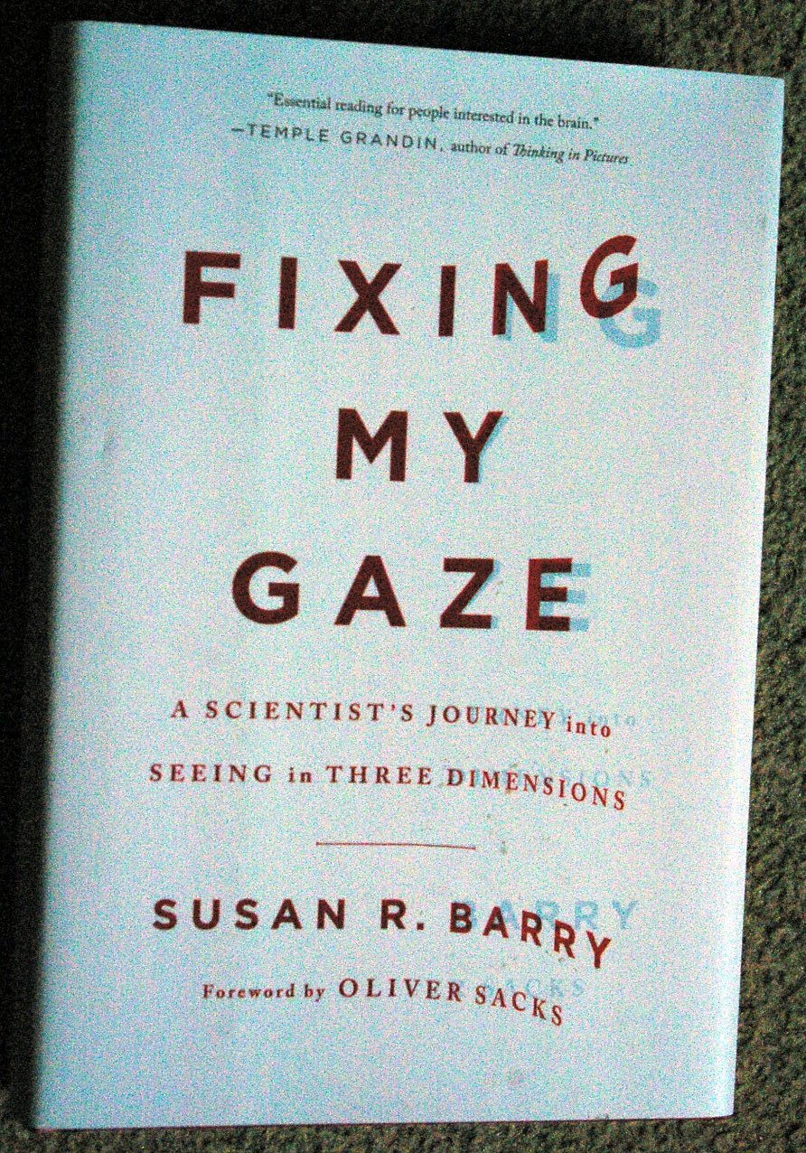 Fixing My Gaze: A Scientist's Journey Into Seeing in Three Dimensions book cover