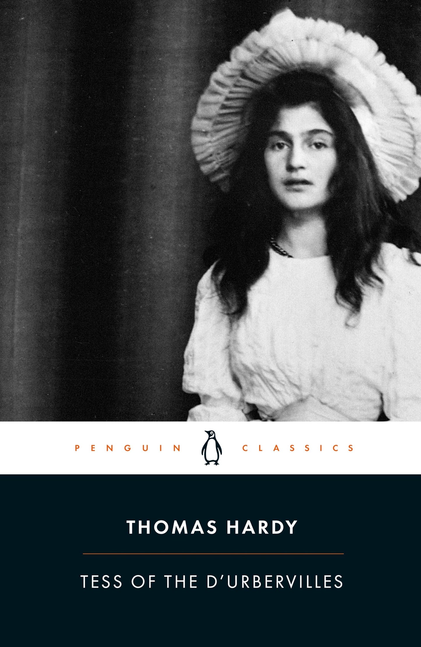 Tess of the d'Urbervilles book cover