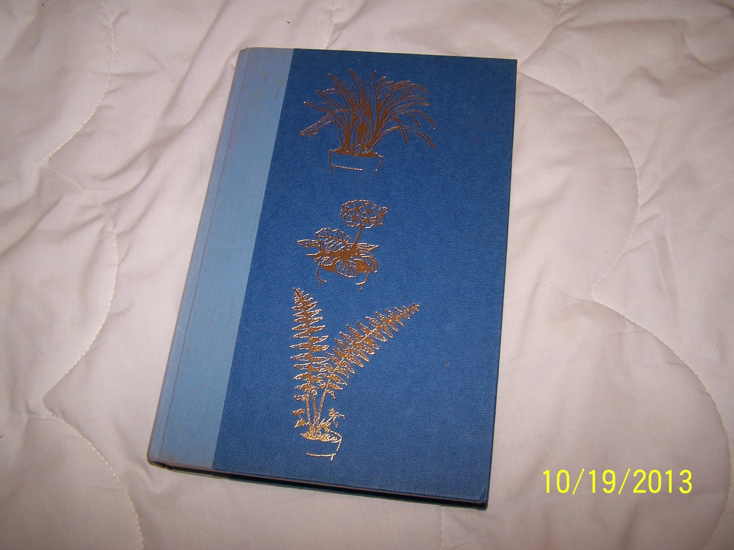 Making Things Grow Indoors book cover