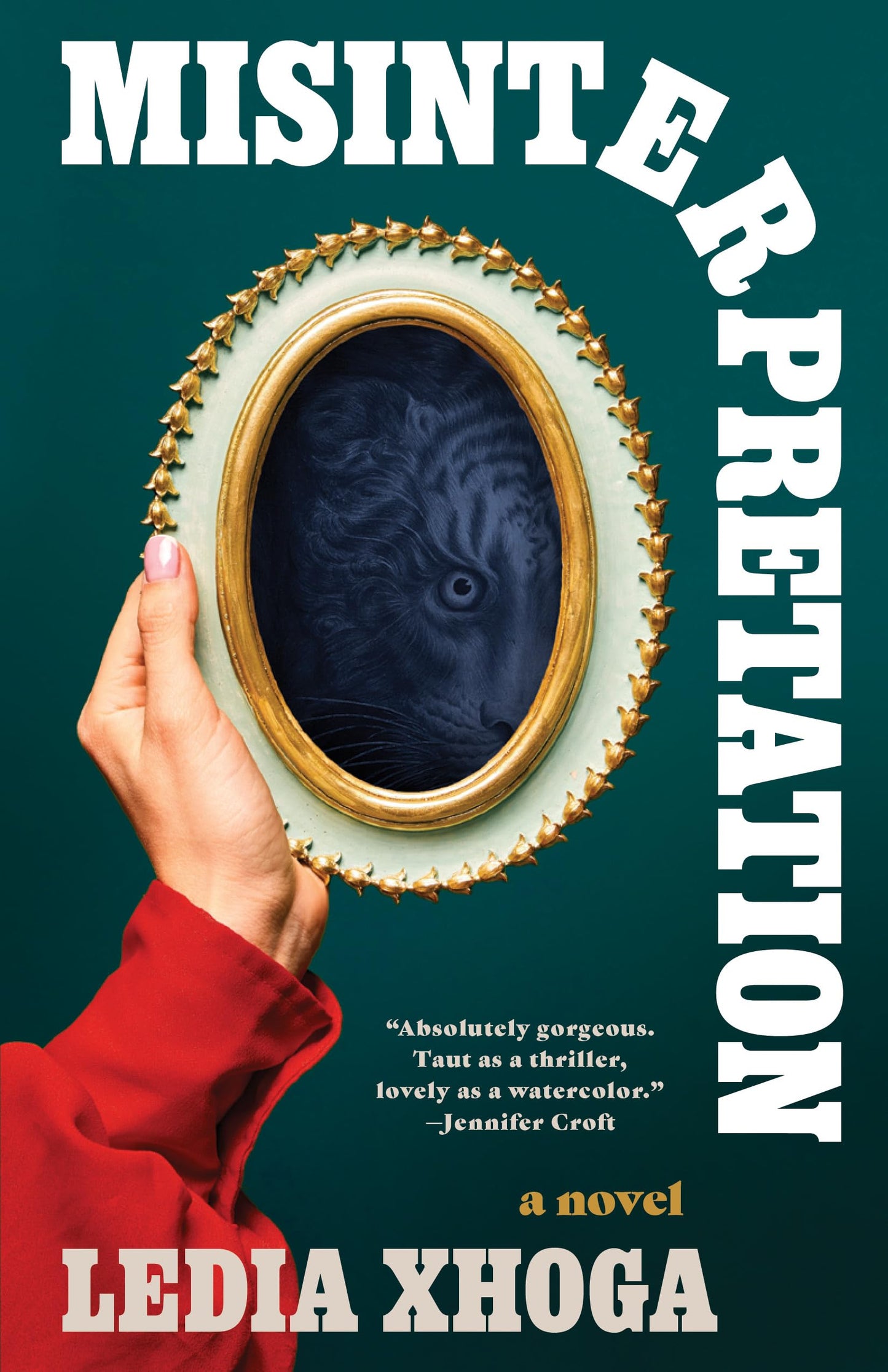 Misinterpretation book cover