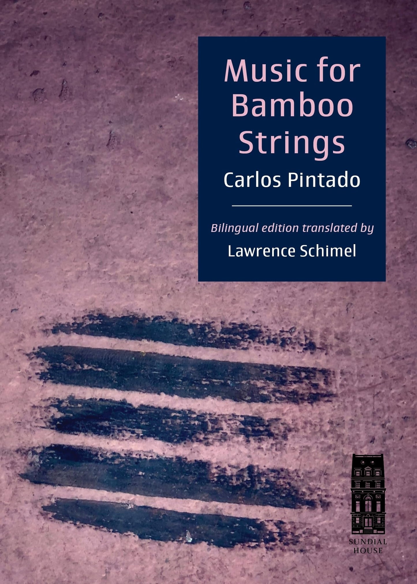 Music for Bamboo Strings book cover