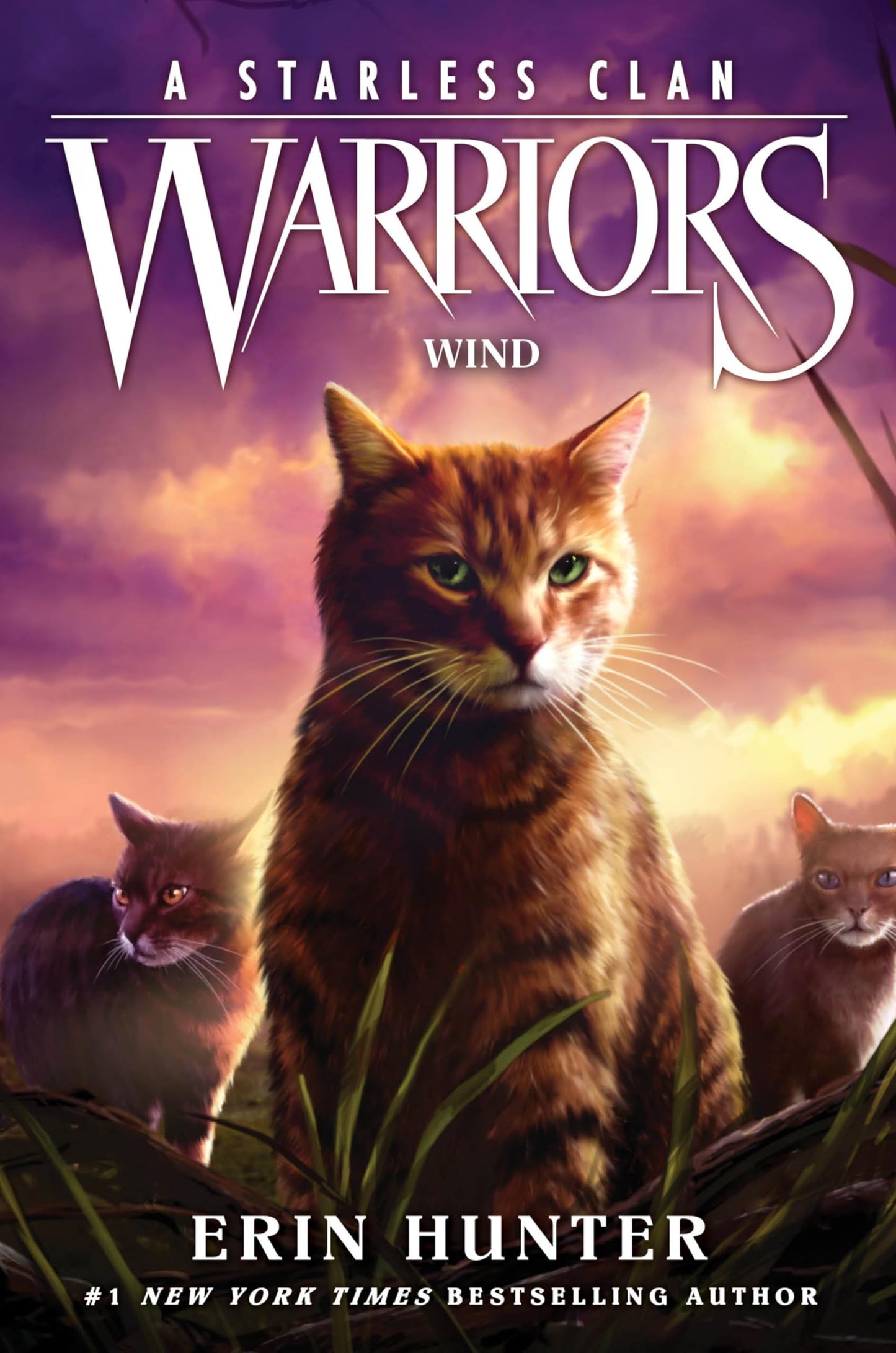 Wind book cover