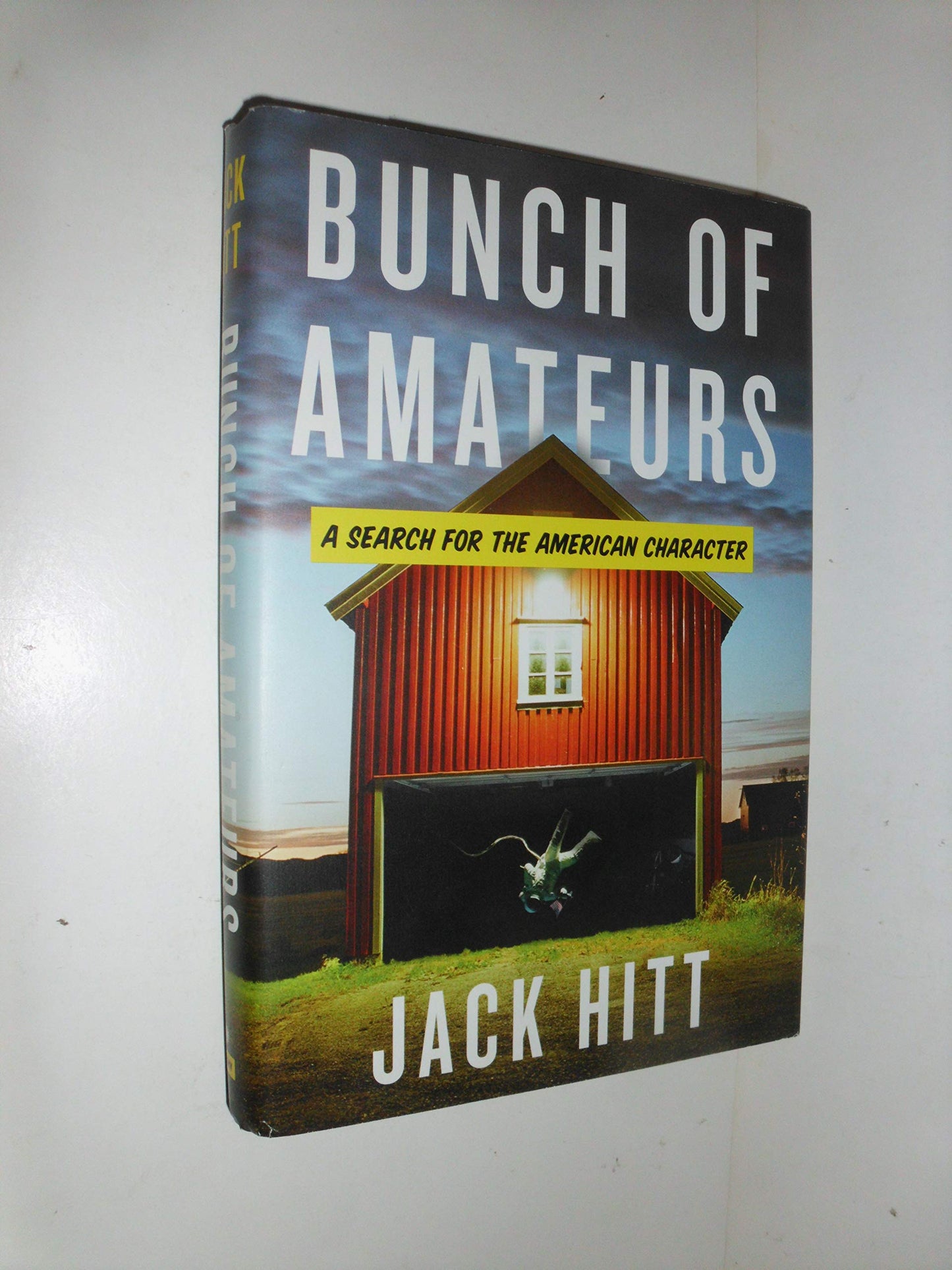 Bunch of Amateurs: A Search for the American Character book cover