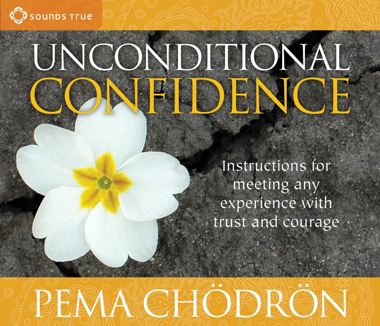 Unconditional Confidence: Instructions for Meeting Any Experience with Trust and Courage book cover