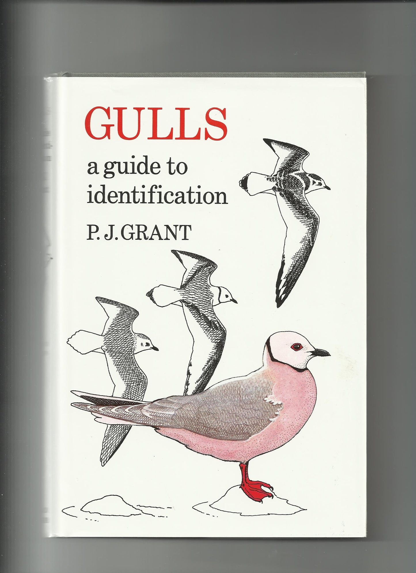 Gulls: A Guide to Identification book cover