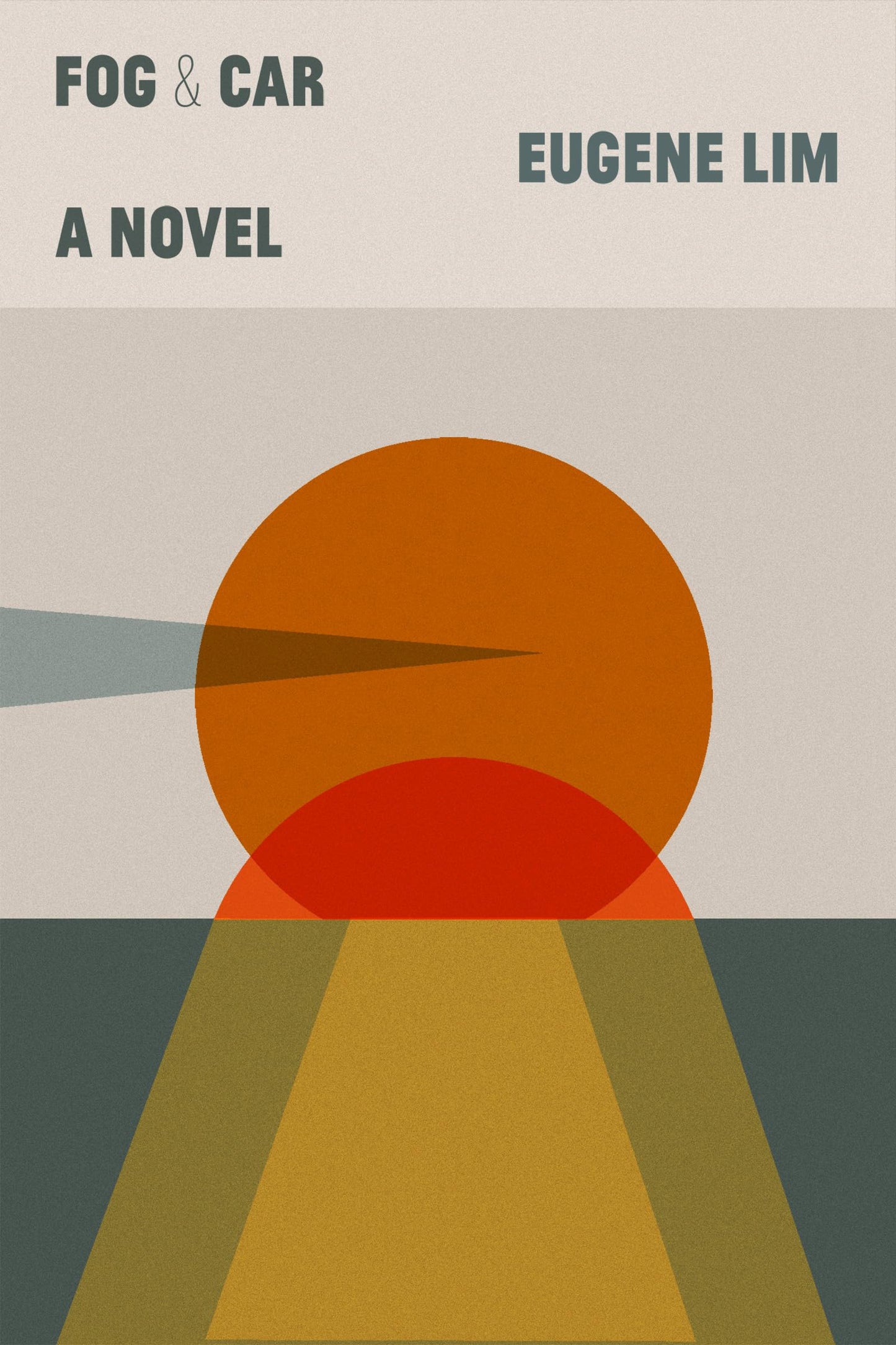 Fog & Car book cover
