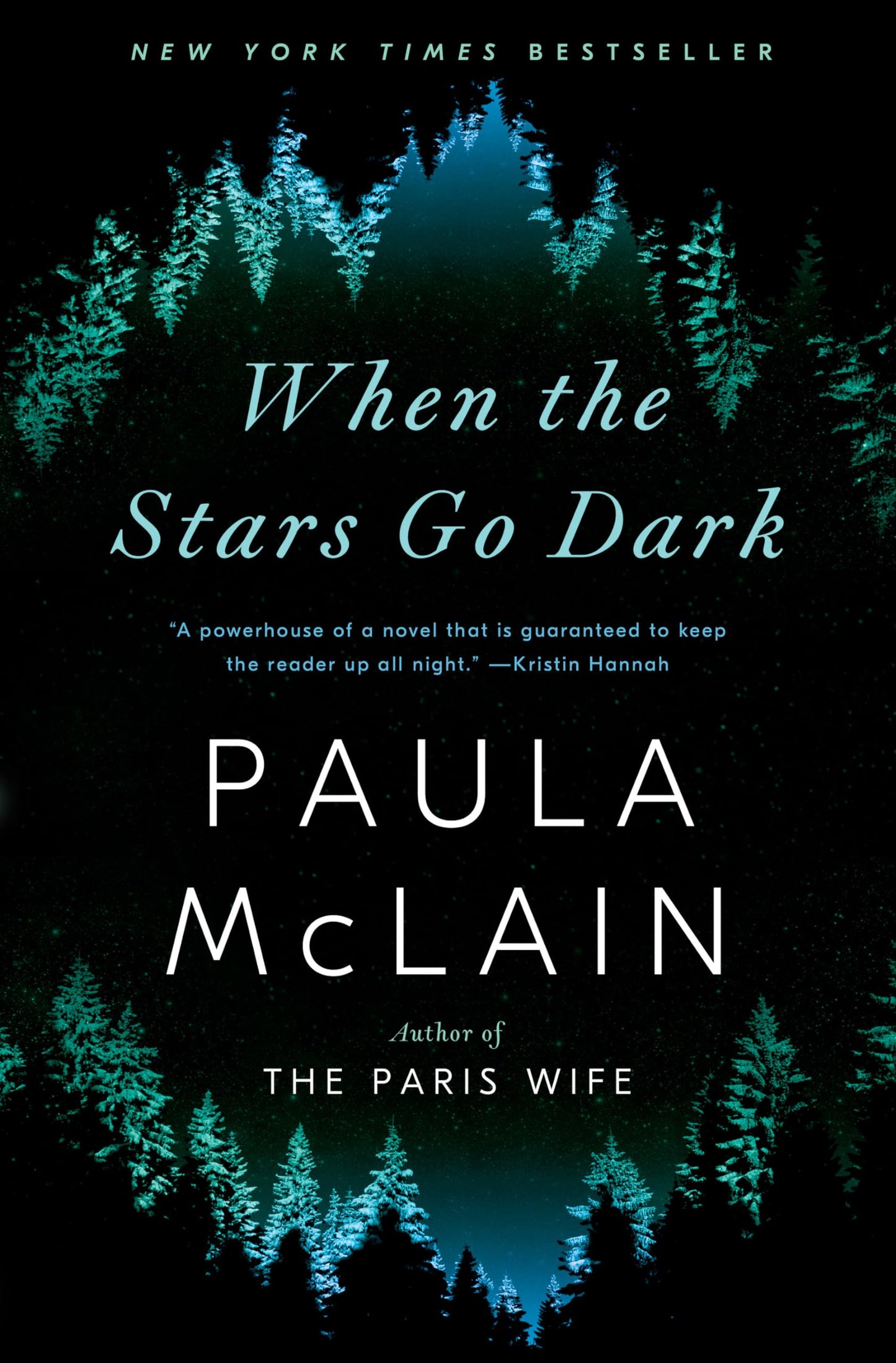 When the Stars Go Dark book cover