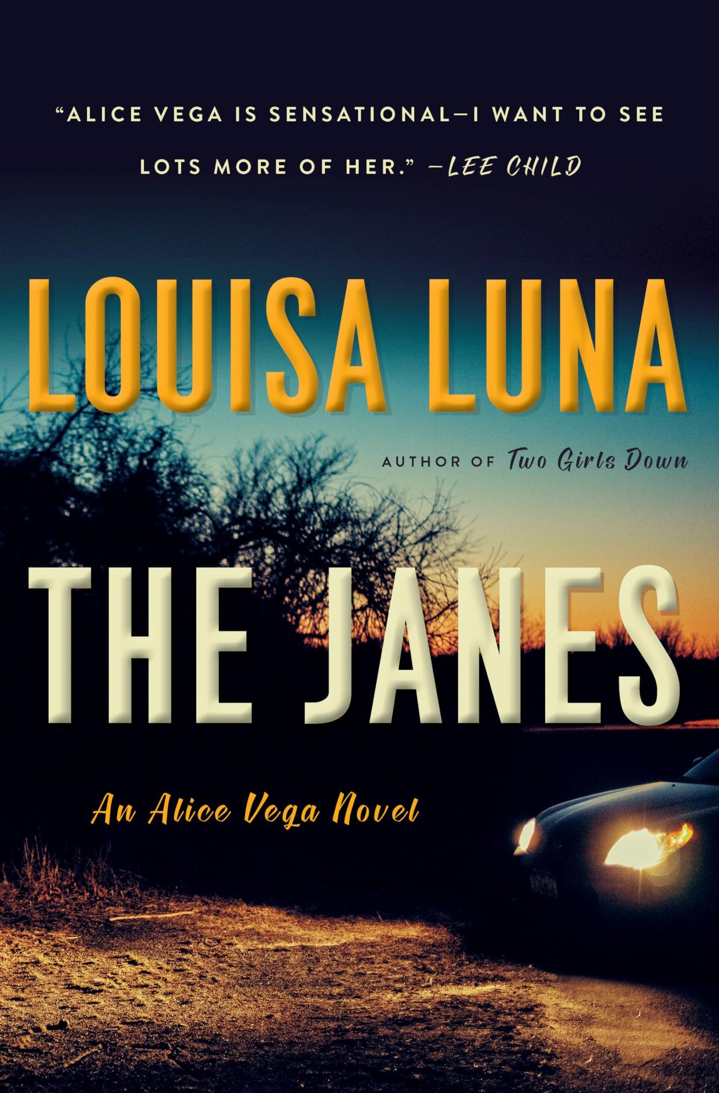 Janes: An Alice Vega Novel book cover