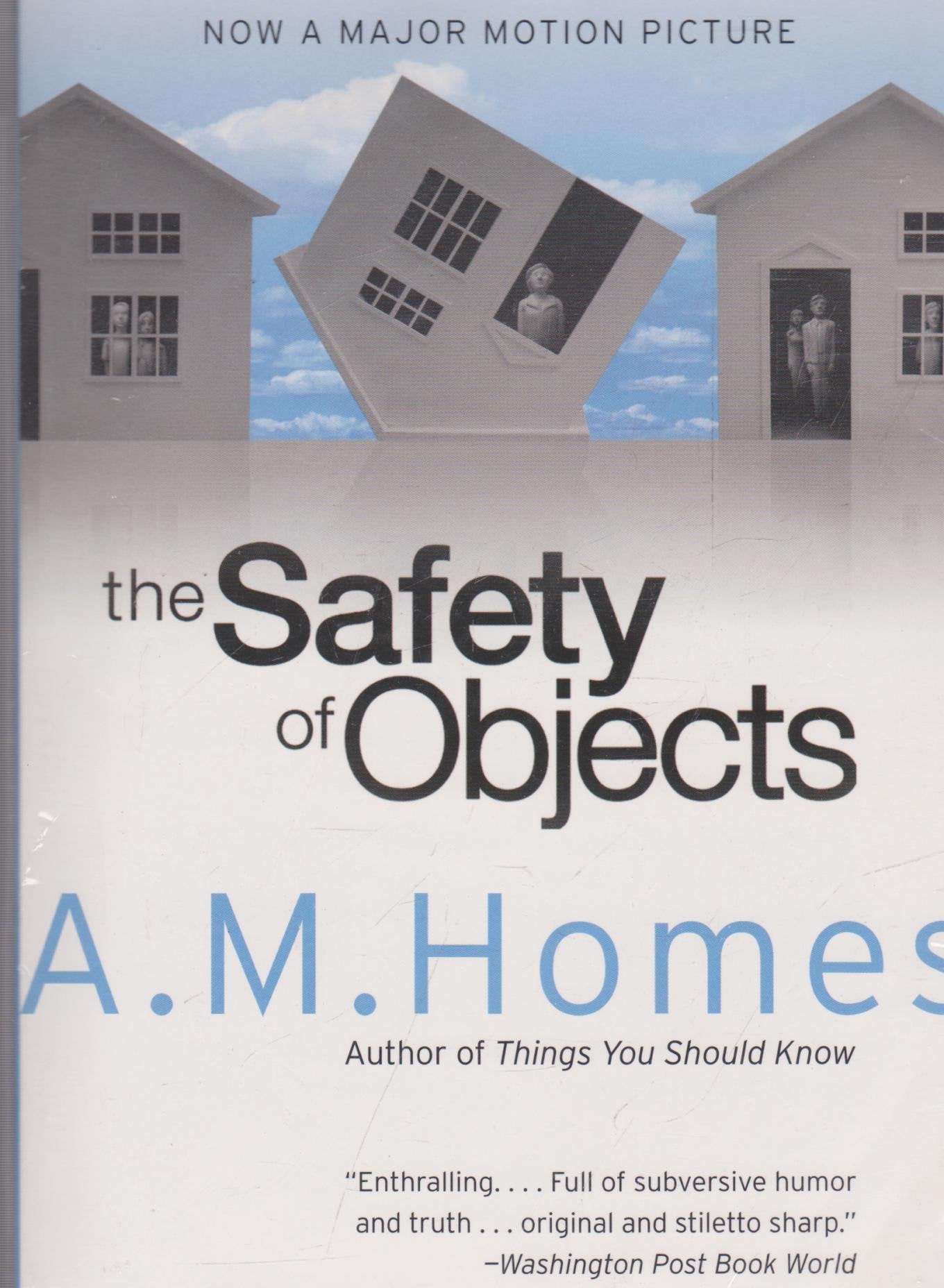 Safety of Objects book cover