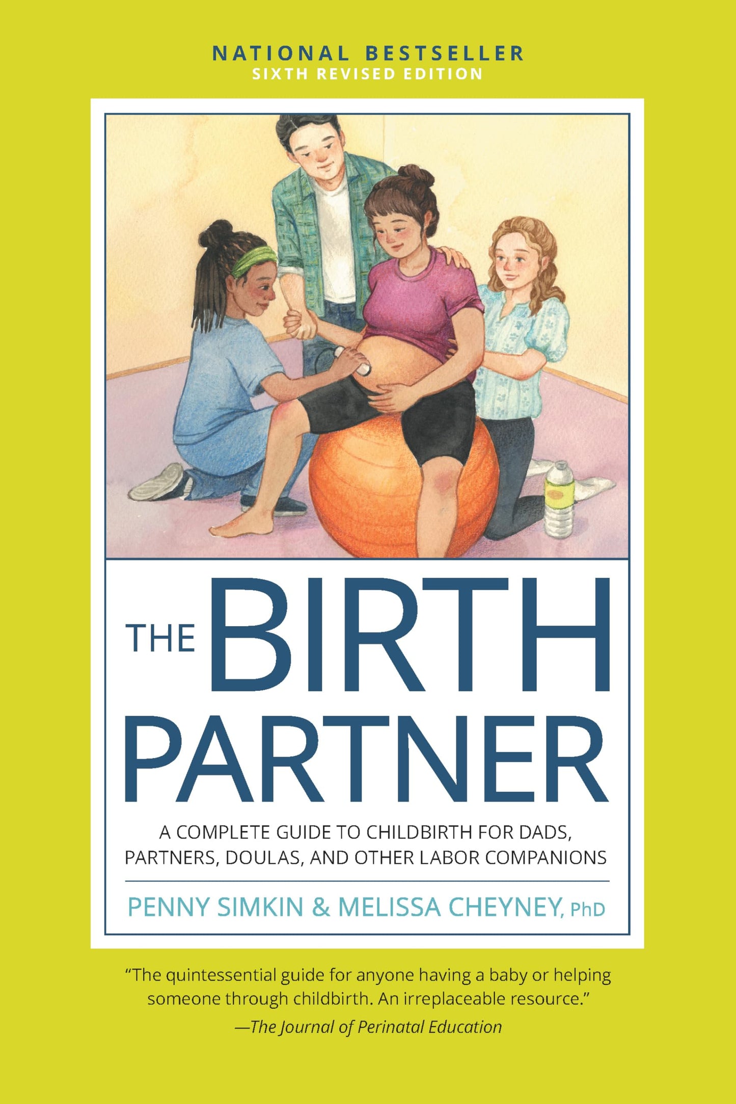 Birth Partner, Sixth Revised Edition: A Complete Guide to Childbirth for Dads, Partners, Doulas, and Other Labor Companions (Revised) book cover