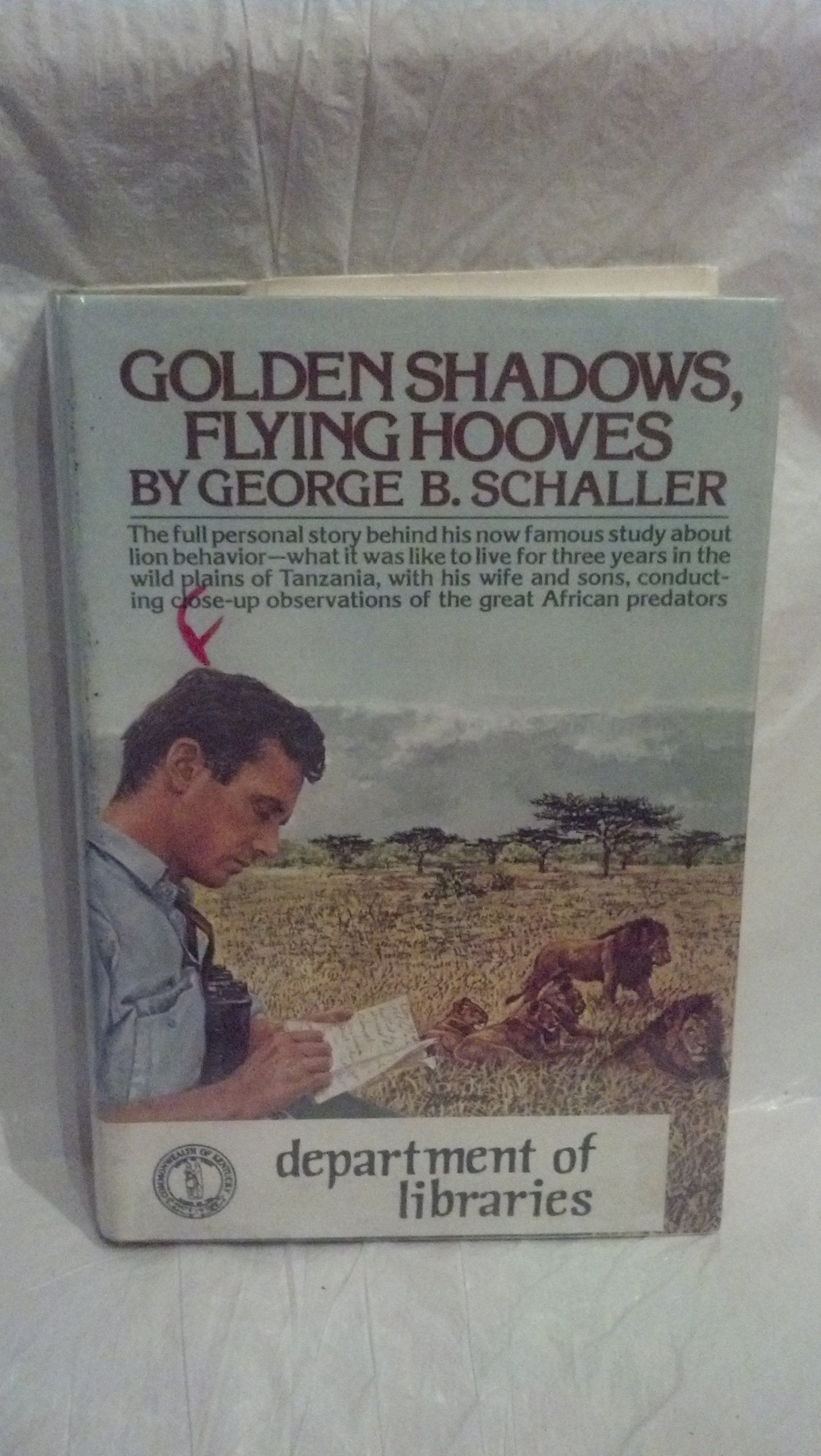 Golden Shadows, Flying Hooves book cover
