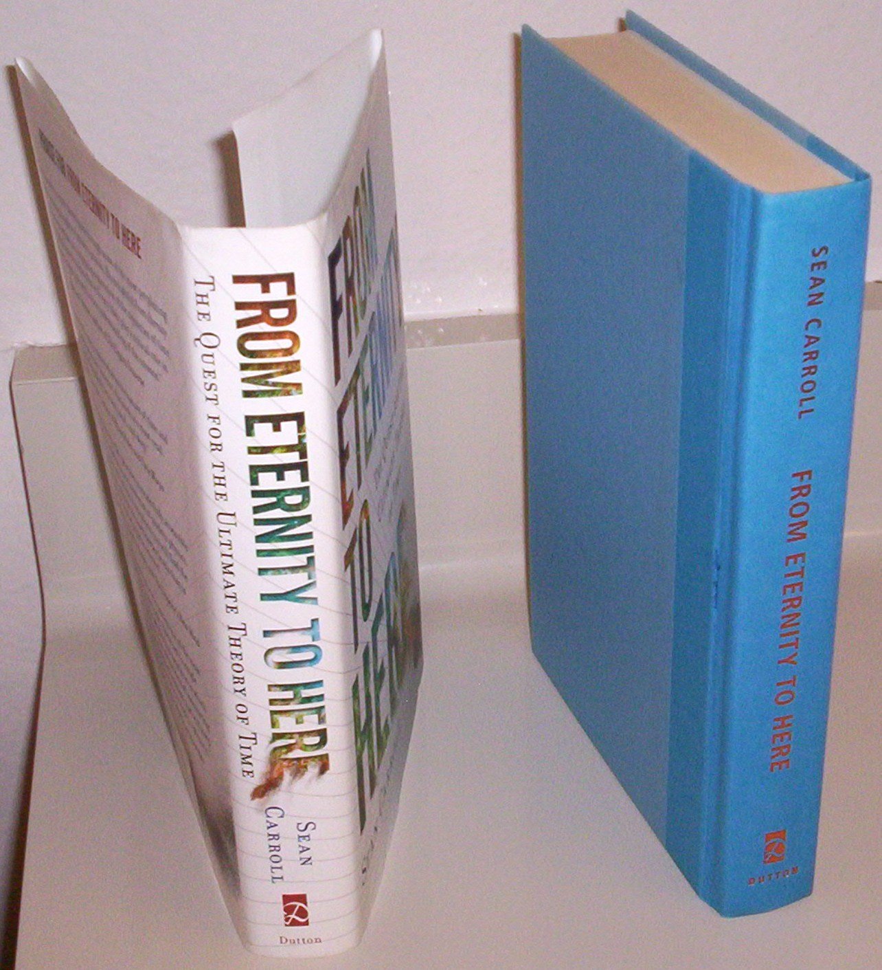 From Eternity to Here: The Quest for the Ultimate Theory of Time book cover