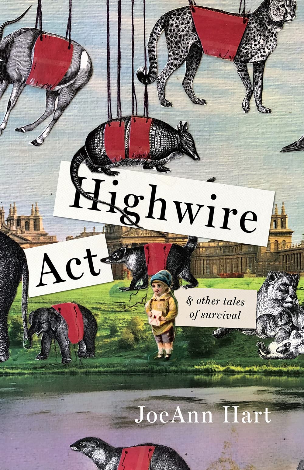 Highwire ACT & Other Tales of Survival book cover