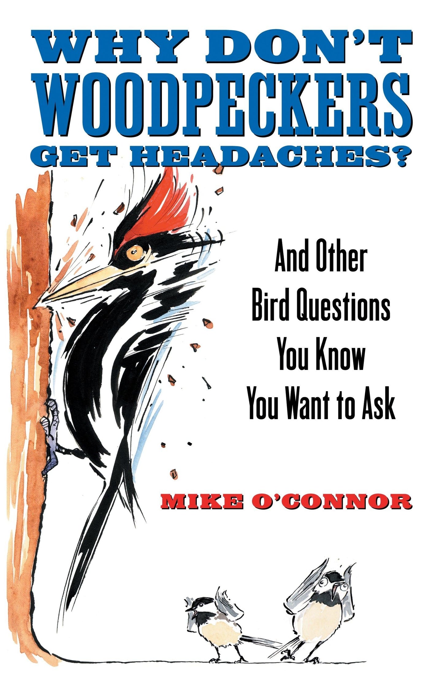 Why Don't Woodpeckers Get Headaches?: And Other Bird Questions You Know You Want to Ask book cover