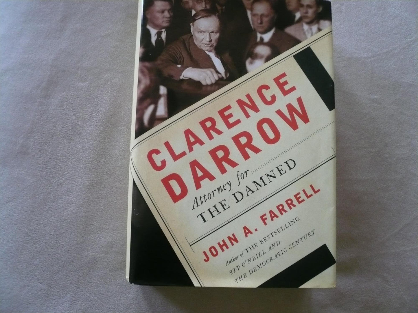 Clarence Darrow: Attorney for the Damned book cover