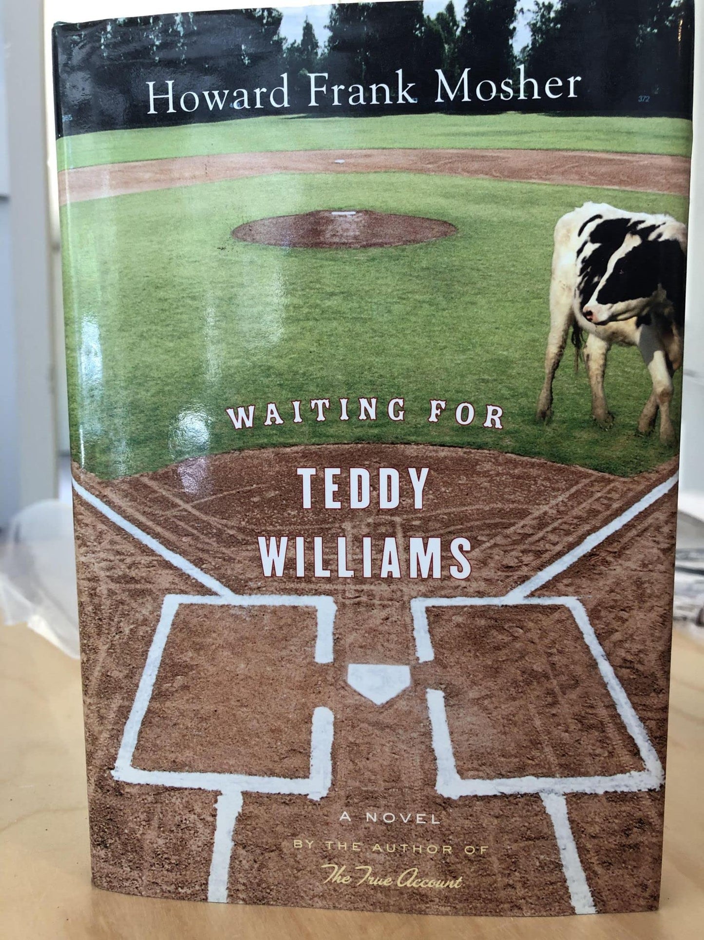 Waiting for Teddy Williams book cover