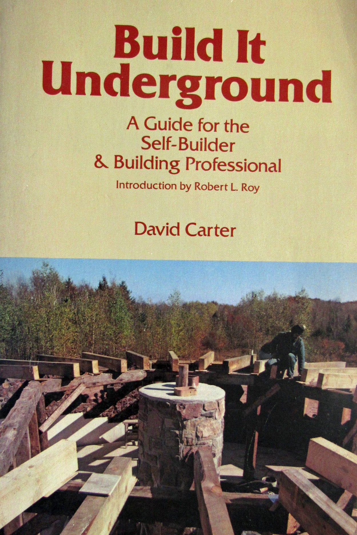Build It Underground: A Guide for the Self-Builder & Building Professional book cover