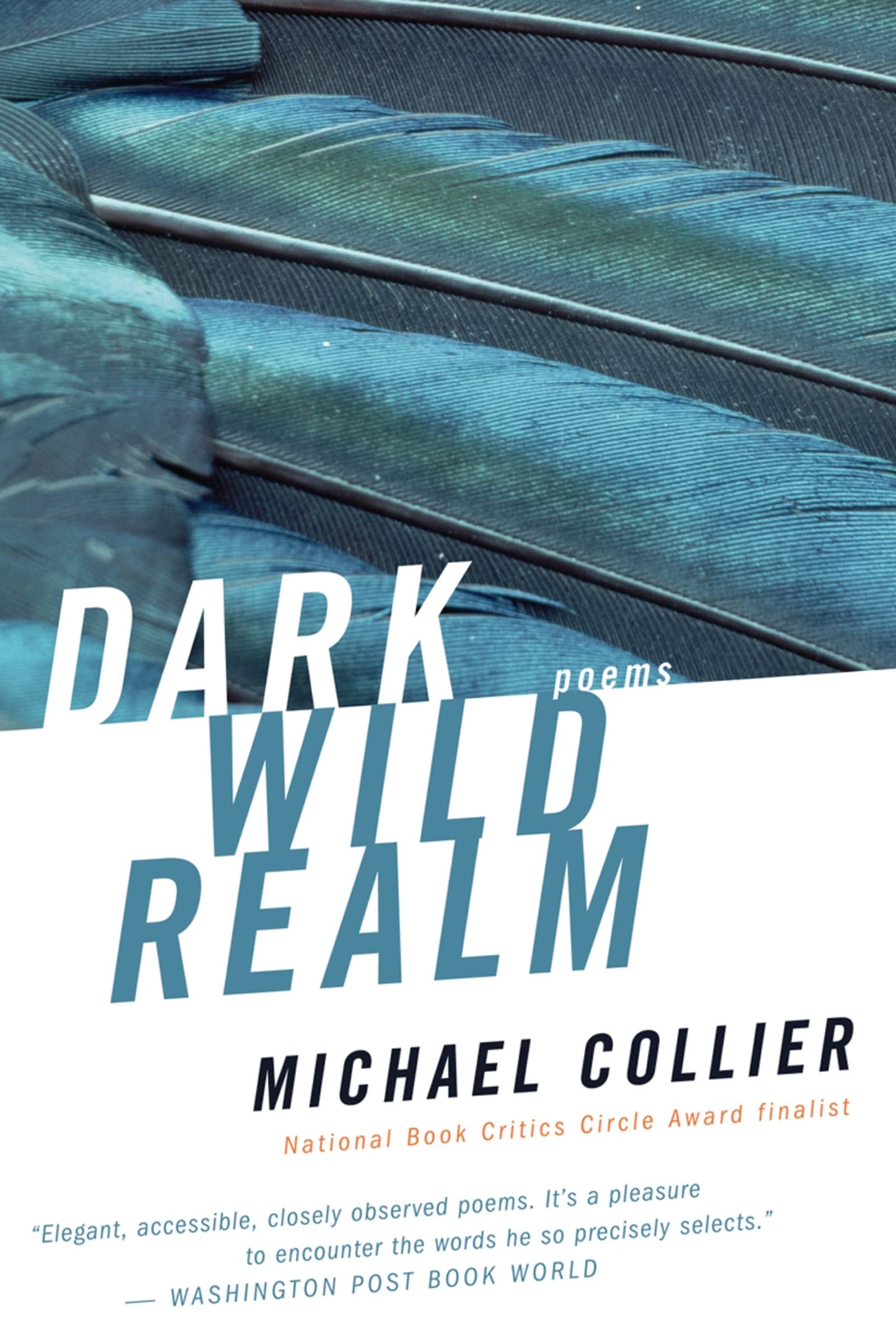 Dark Wild Realm book cover
