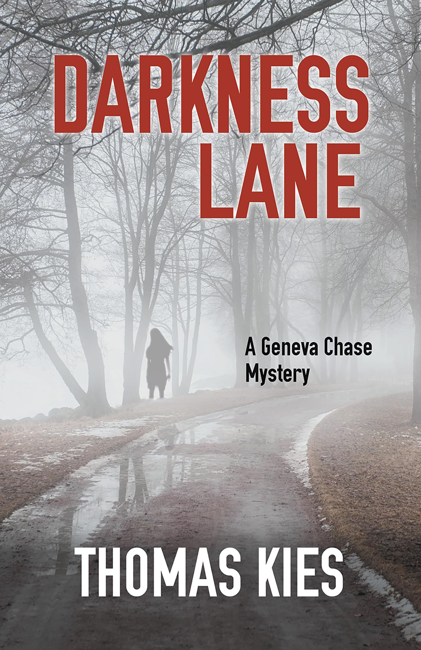 Darkness Lane book cover