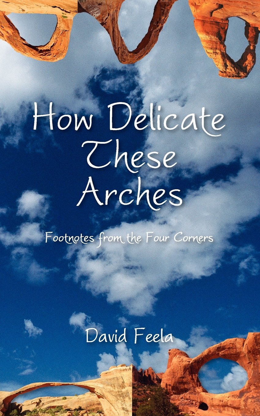 How Delicate These Arches: Footnotes from the Four Corners book cover