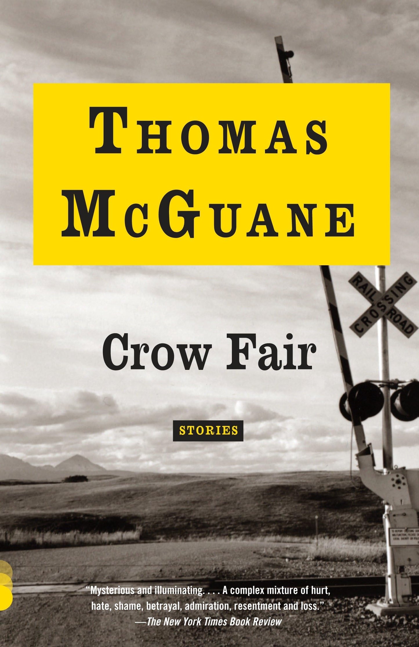 Crow Fair: Stories book cover