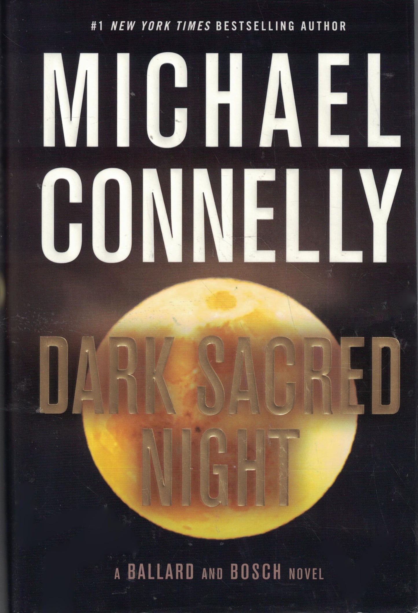 Dark Sacred Night book cover