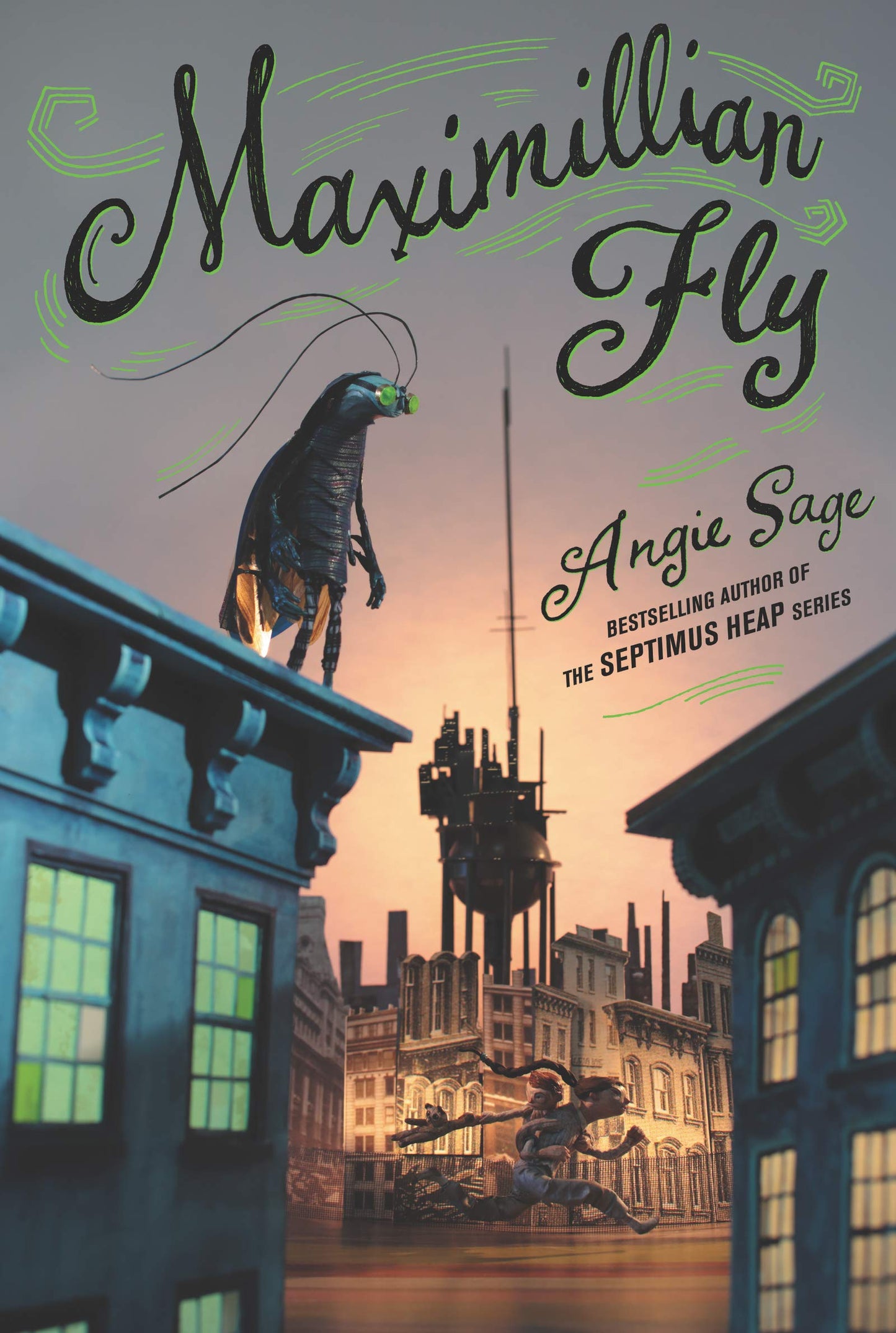Maximillian Fly book cover