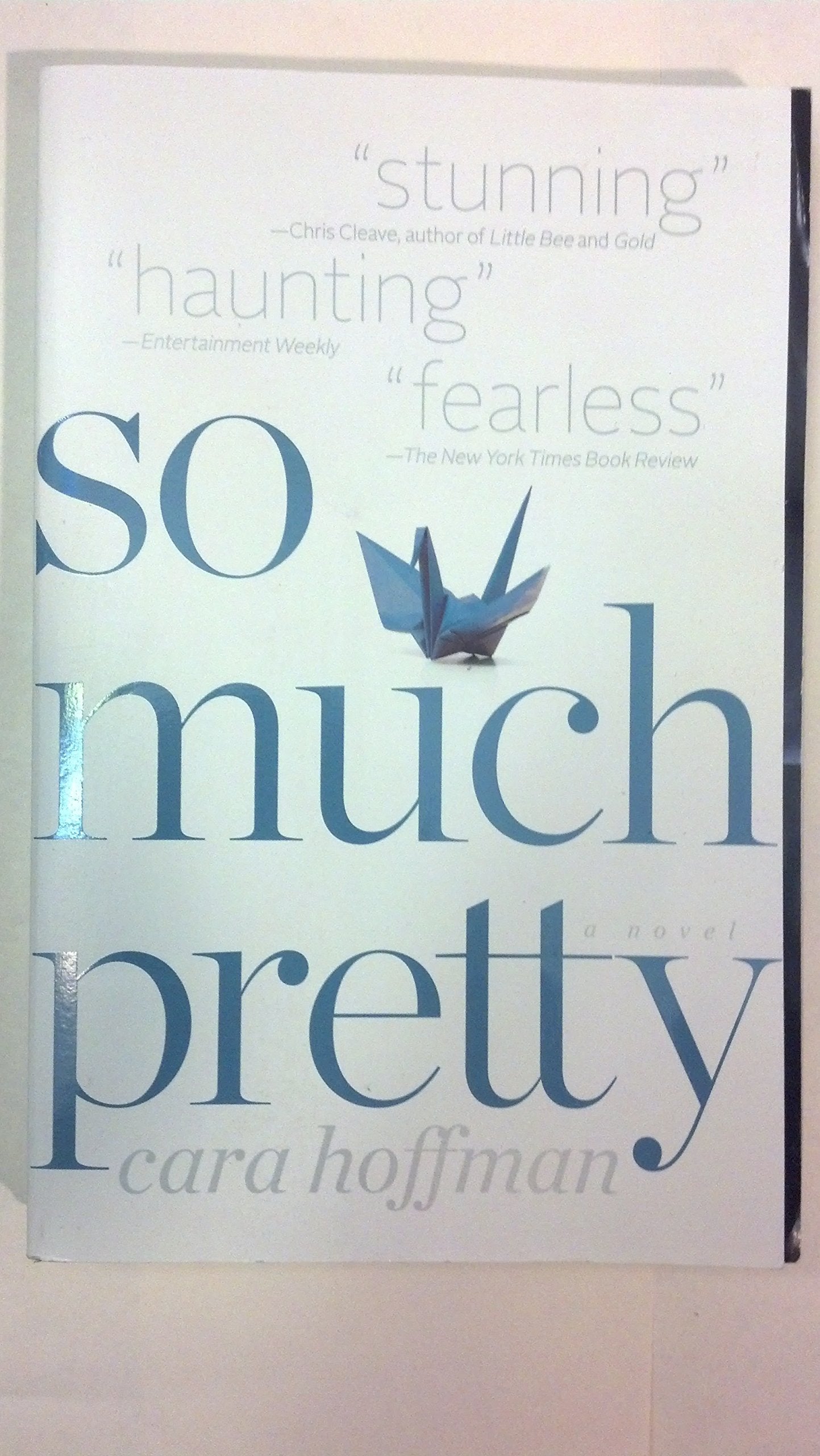 So Much Pretty book cover