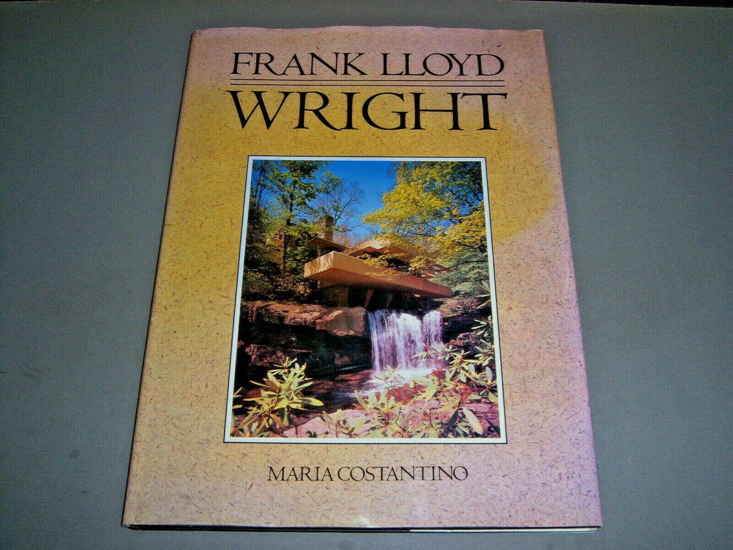 Frank Lloyd Wright: American Art Series book cover