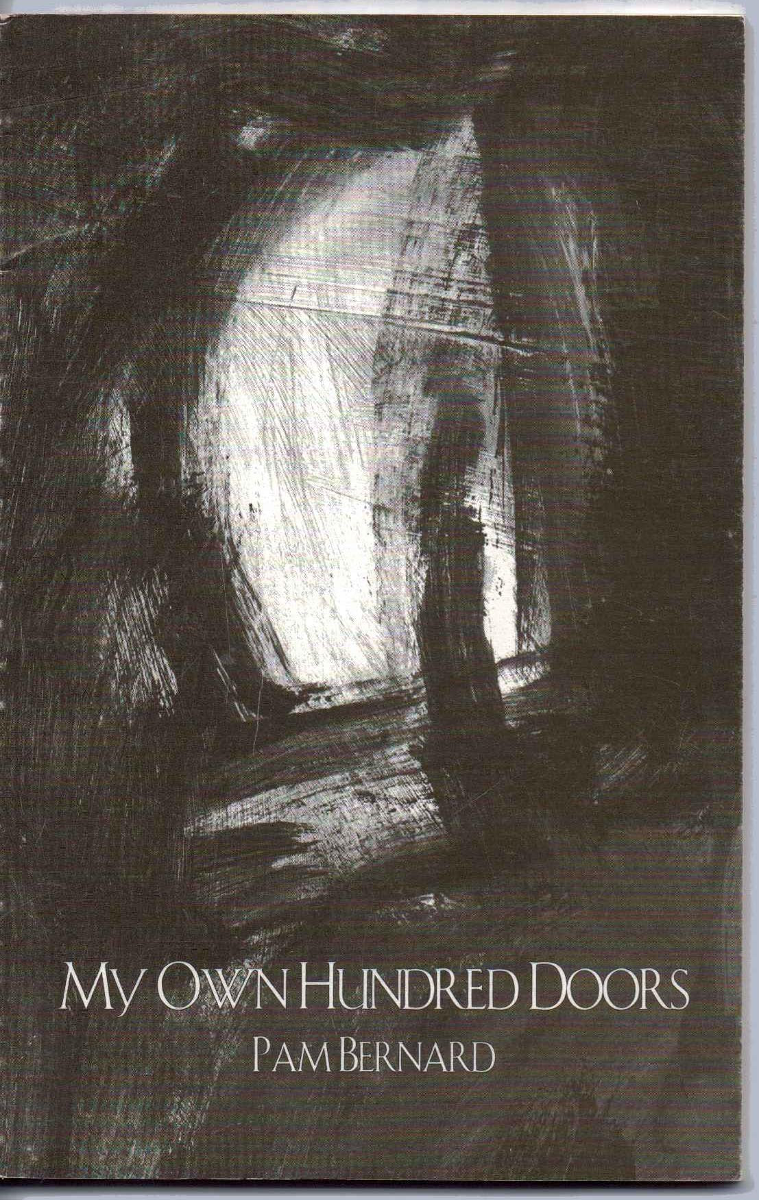 My Own Hundred Doors book cover