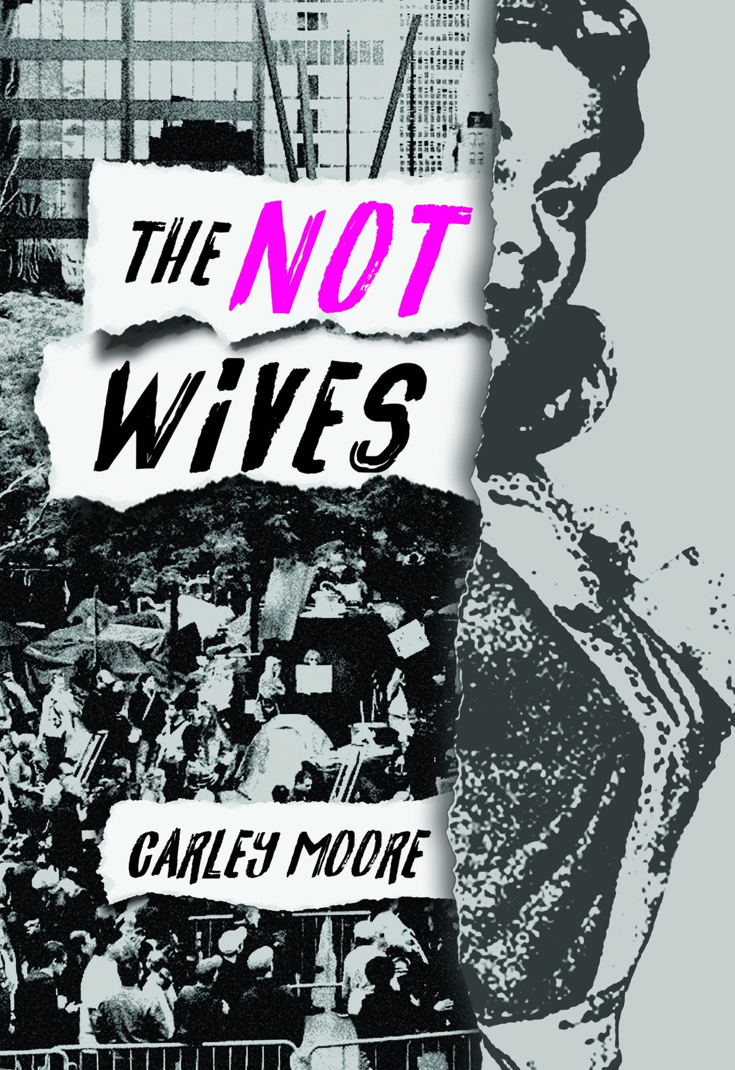 Not Wives book cover