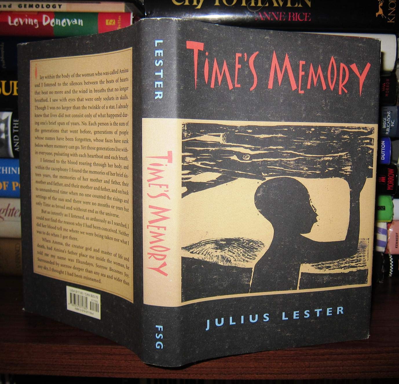 Time's Memory book cover