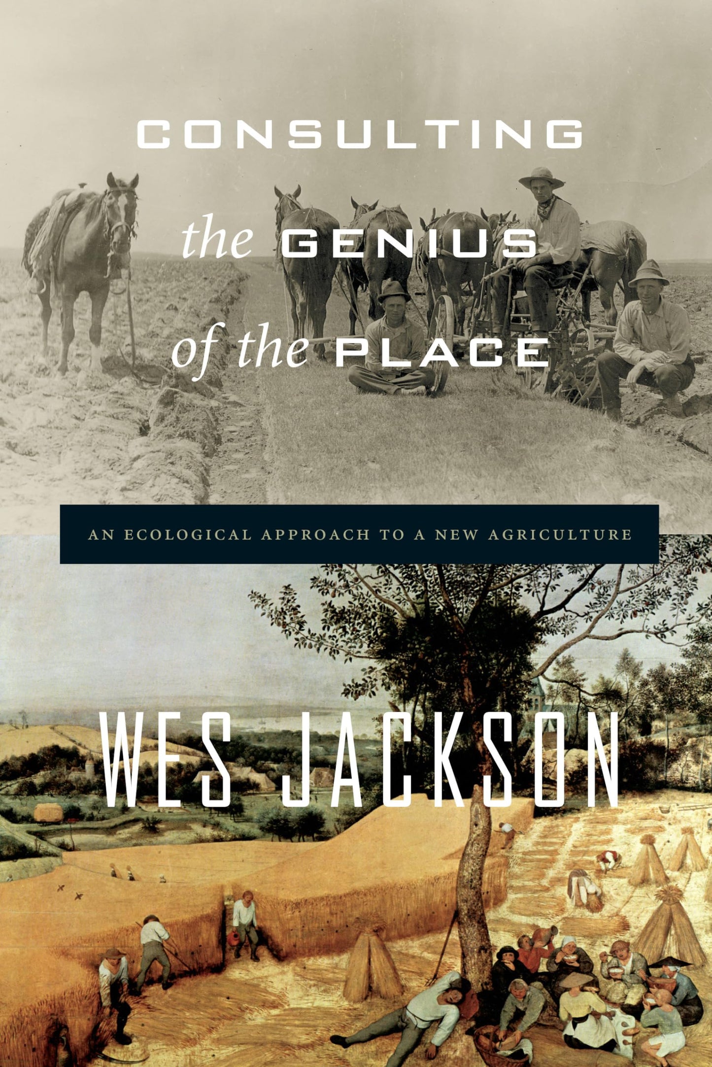 Consulting the Genius of the Place: An Ecological Approach to a New Agriculture book cover
