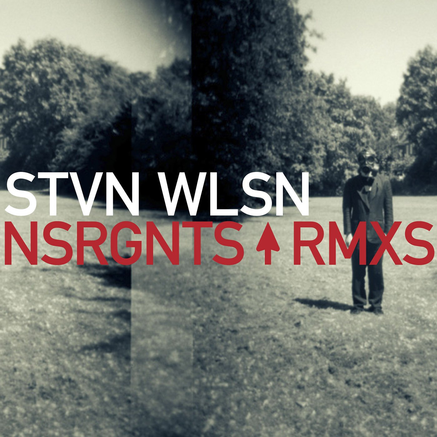 Nsrgnts Rmx book cover
